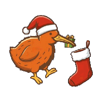 Kiwi bird with a Christmas stocking – Kiwi Code Stocking Filler